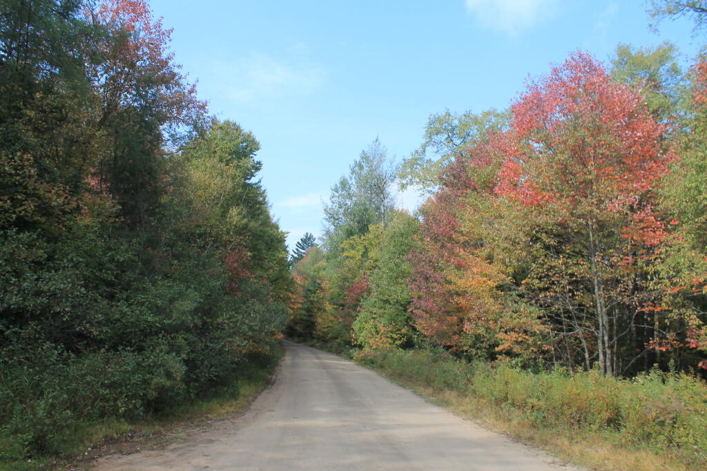 Photo: Plains Road