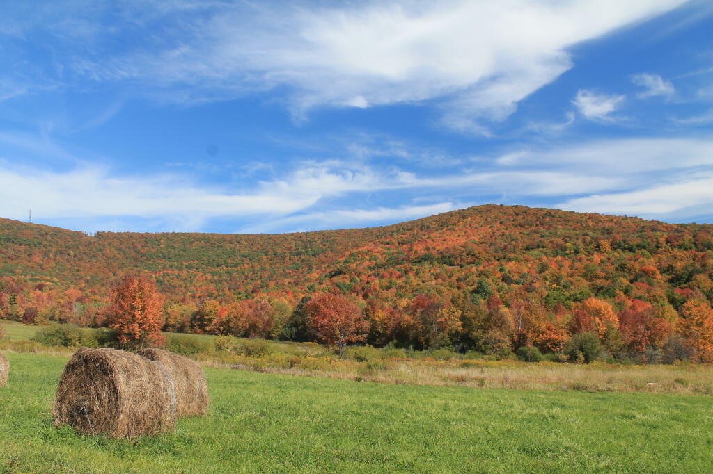 Photo: Moresville Range