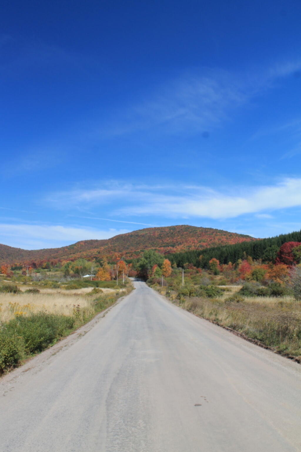 Photo: John Burroughs Memorial Road Extension Photo: John Burroughs Memorial Road Extension