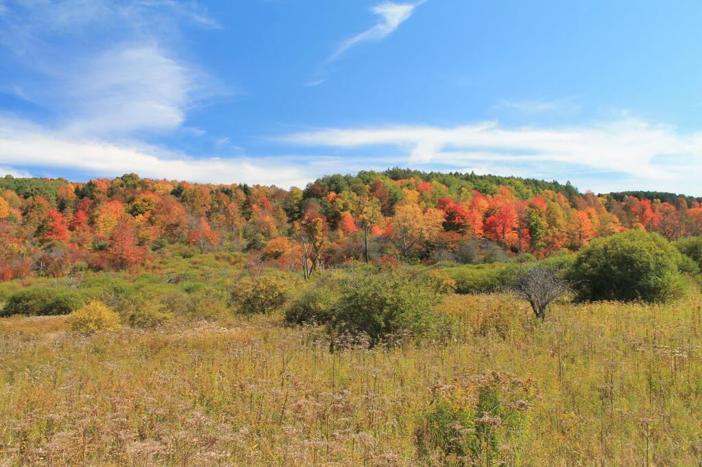 Photo: Very Colorful Photo: Very Colorful