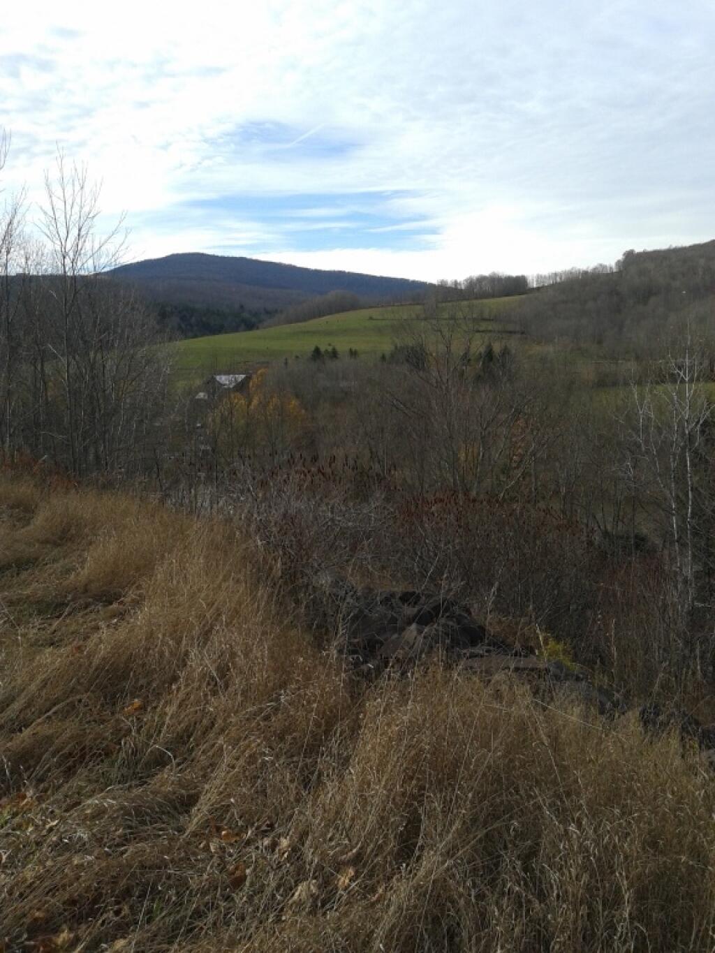 Photo: View from Rest Area Photo: View from Rest Area