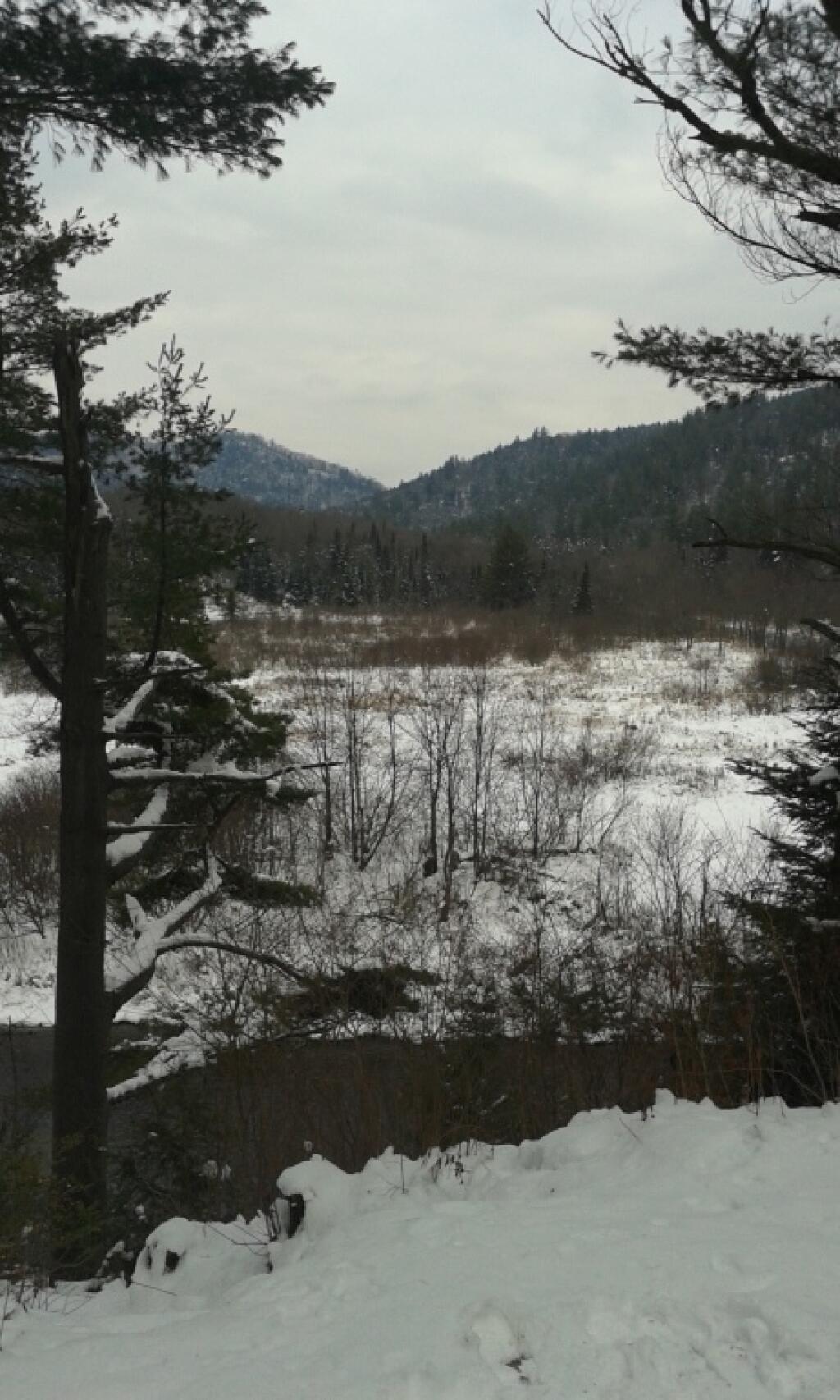 Photo: Winter in the East Branch Gorge