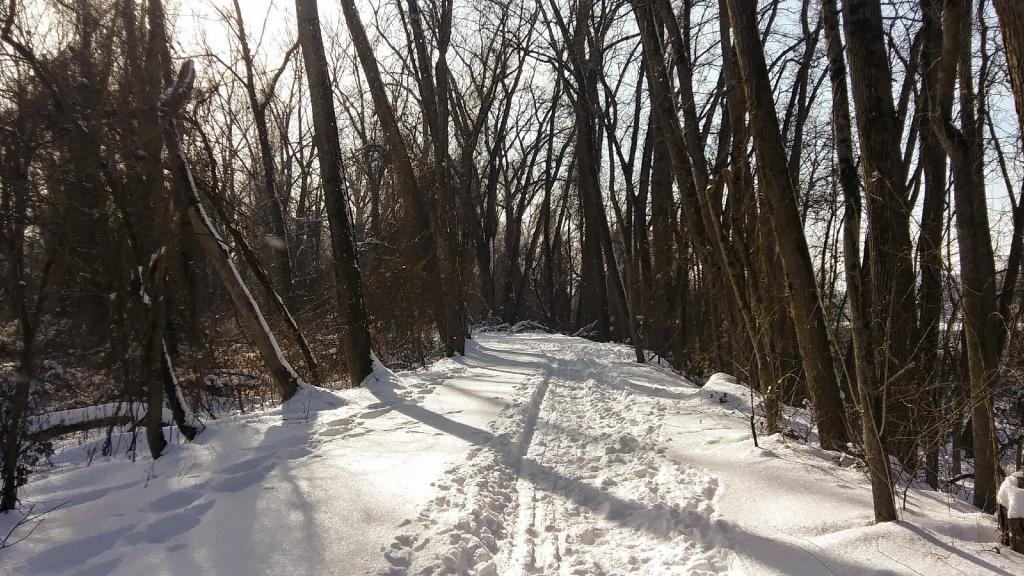 Photo: Nice day for skiing 🎿 Photo: Nice day for skiing 🎿