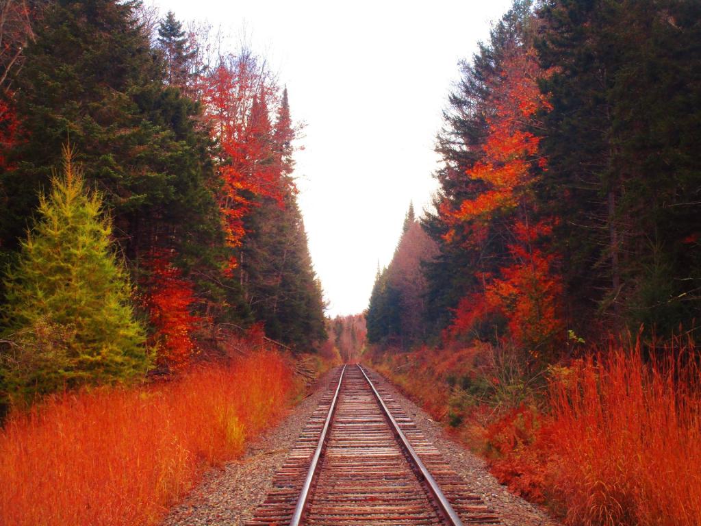 Photo: Cutting through the Wilderness Photo: Cutting through the Wilderness