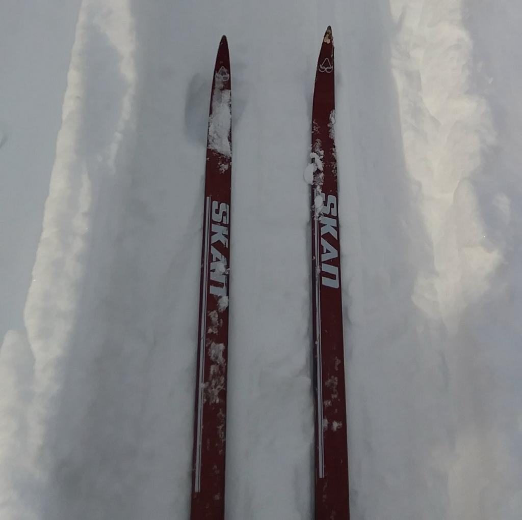 Photo: Skis 🎿 Photo: Skis 🎿