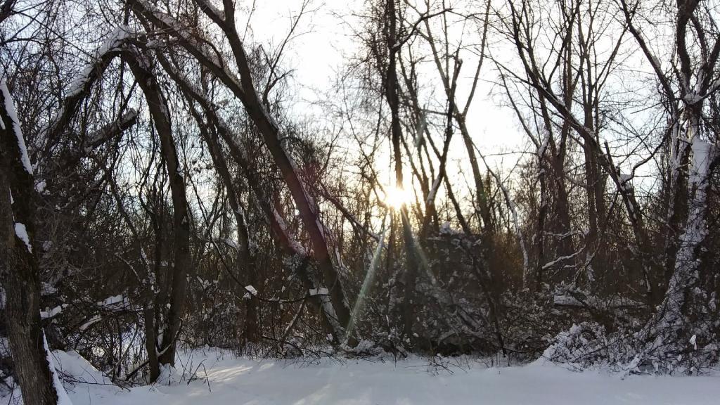 Photo: Low sun angle