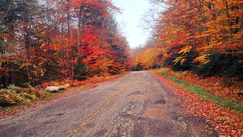 Photo: New York Route 421 Photo: New York Route 421