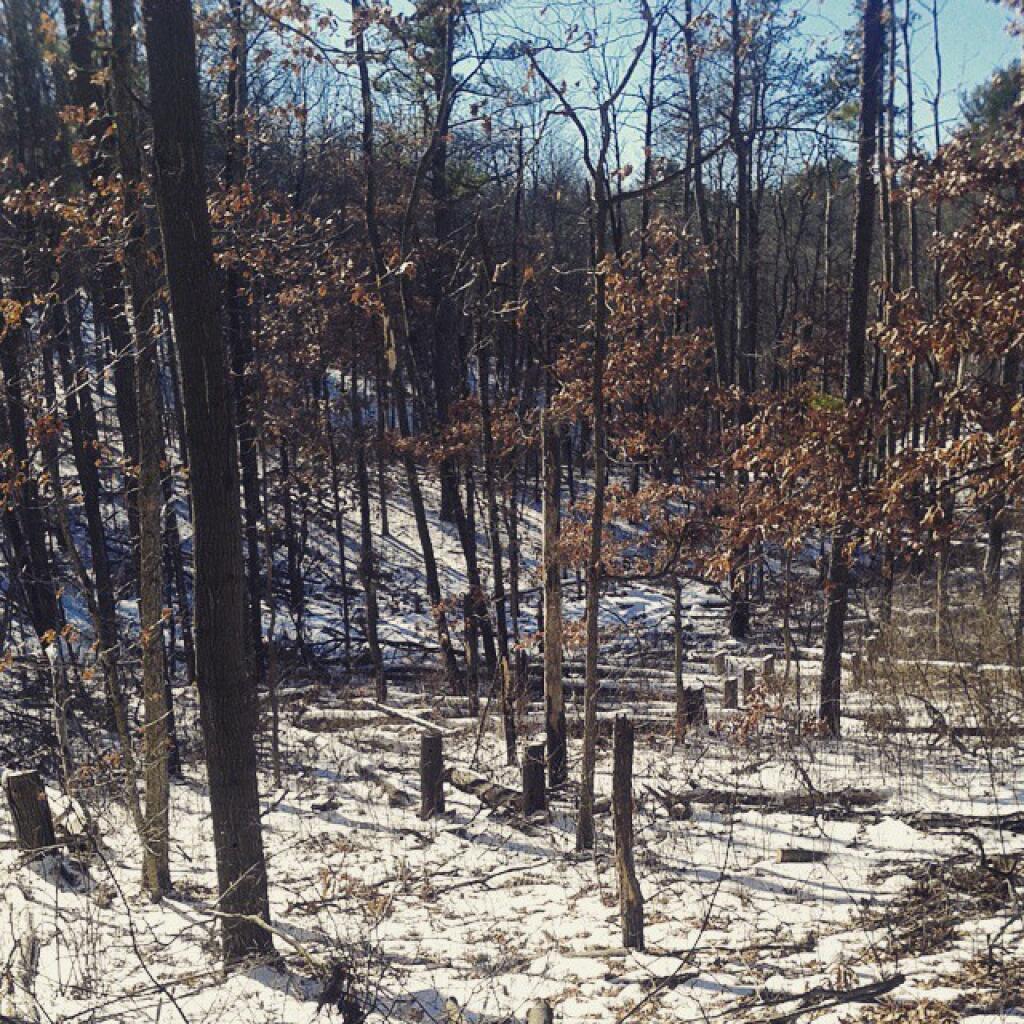 Photo: Into the Ravine