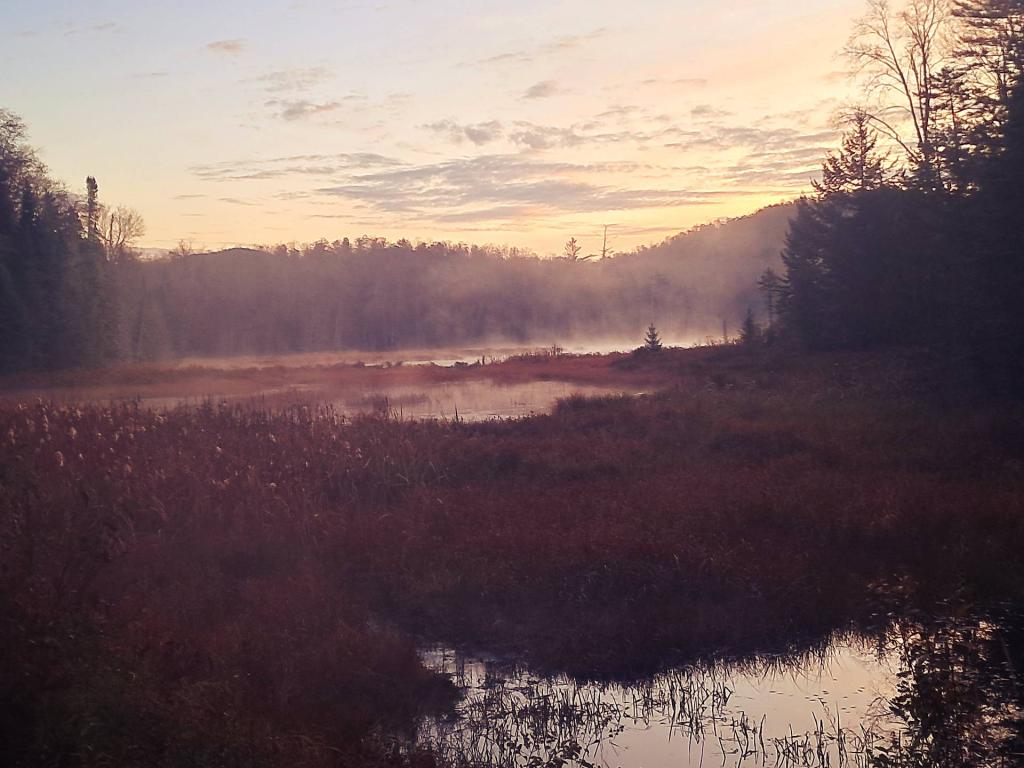 Photo: Misty Morning Photo: Misty Morning