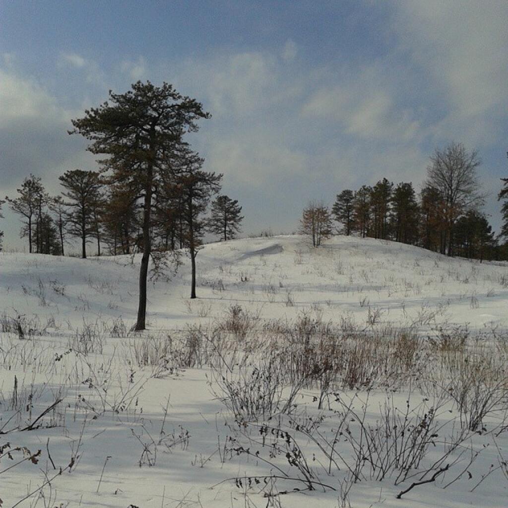 Photo: Snow covered dunws Photo: Snow covered dunws