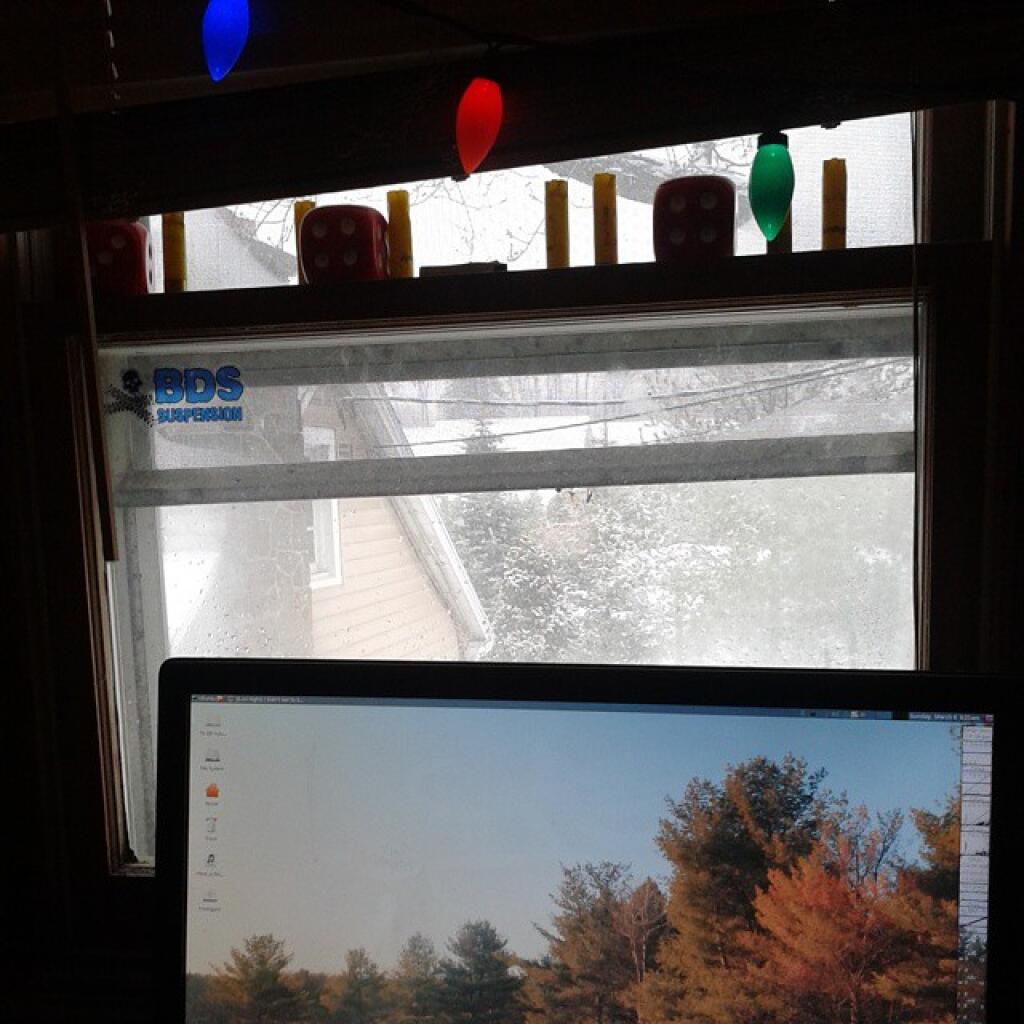 Photo: Still winter out there Photo: Still winter out there