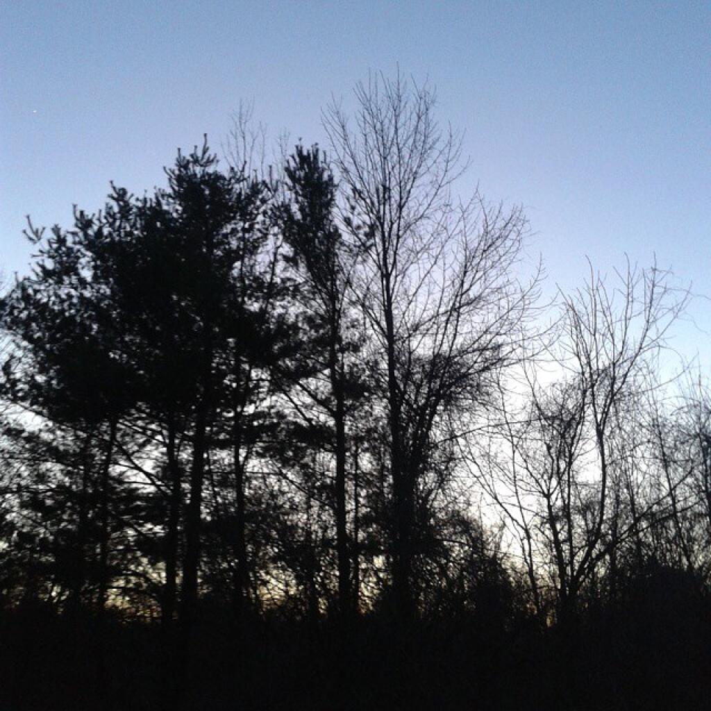 Photo: Dusk Photo: Dusk