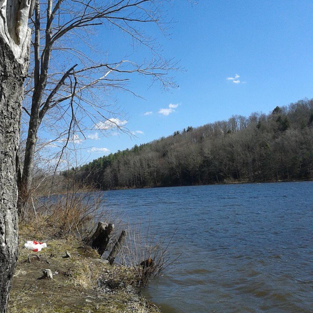 Photo: Nice lake but shallow and weedy Photo: Nice lake but shallow and weedy