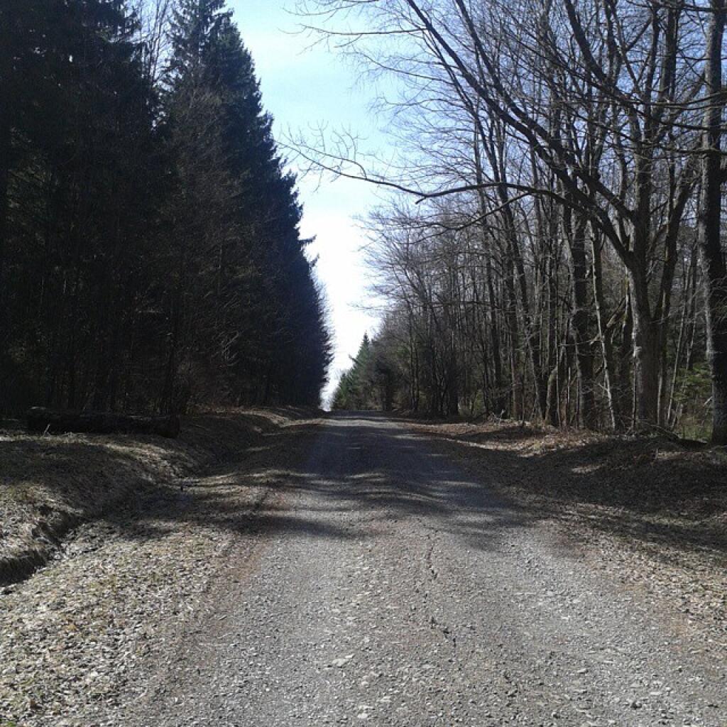 Photo: Hiking back to Whaley Pond