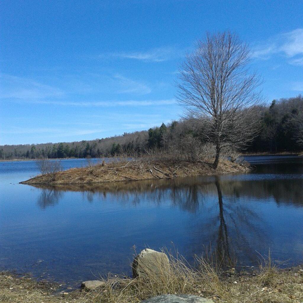 Photo: Whaley Pond