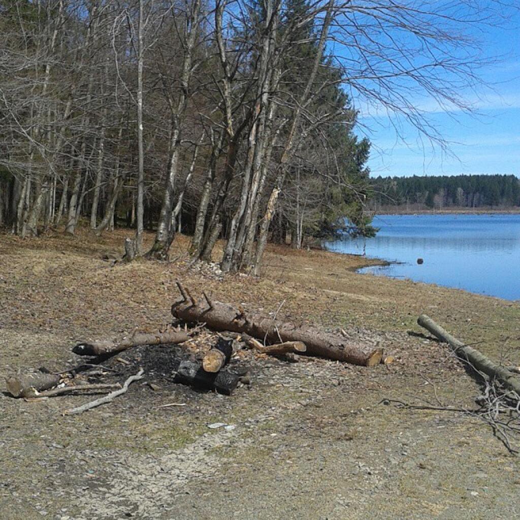 Photo: Whaley Pond Campsite (no camp here disc but on DEC map)
