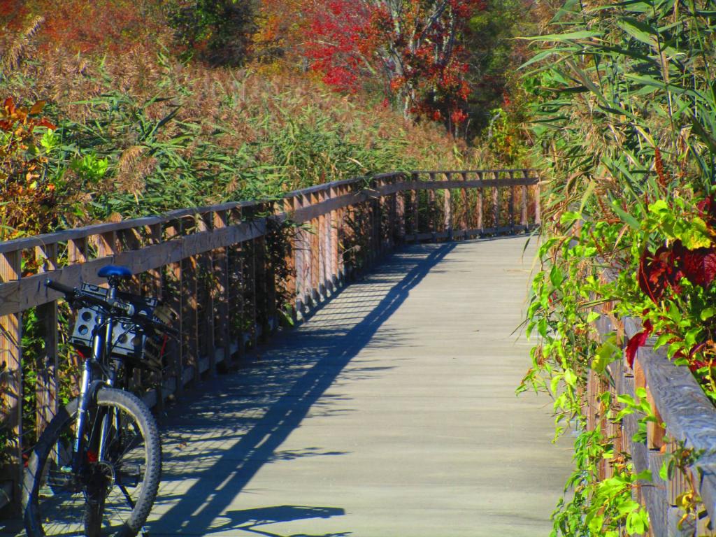 Photo: Where I discovered the broken spoke on my bike Photo: Where I discovered the broken spoke on my bike