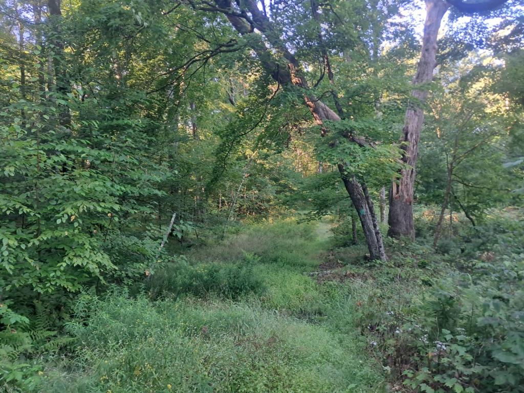 Photo: Long Path
