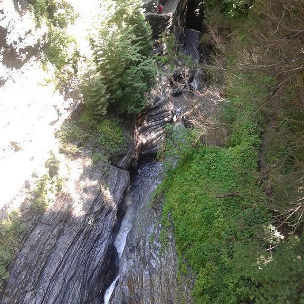 Photo: Below