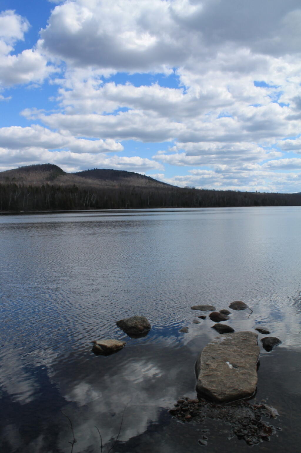 Photo: Lake Shore Photo: Lake Shore