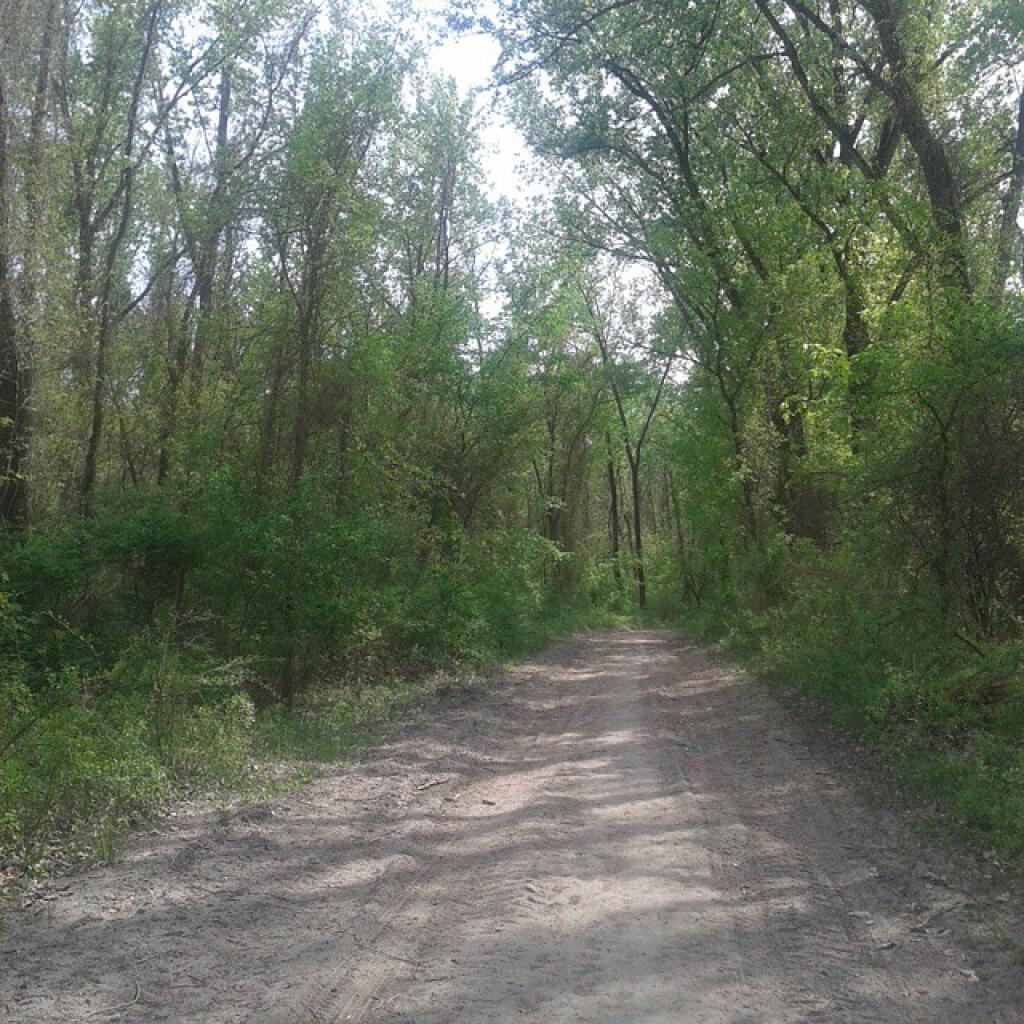 Photo: So green here Photo: So green here