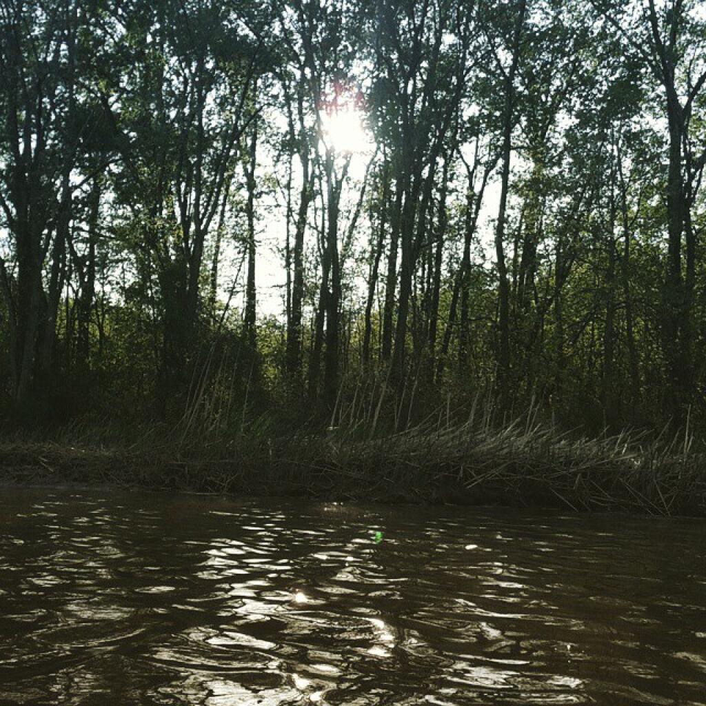 Photo: Late Afternoon Photo: Late Afternoon