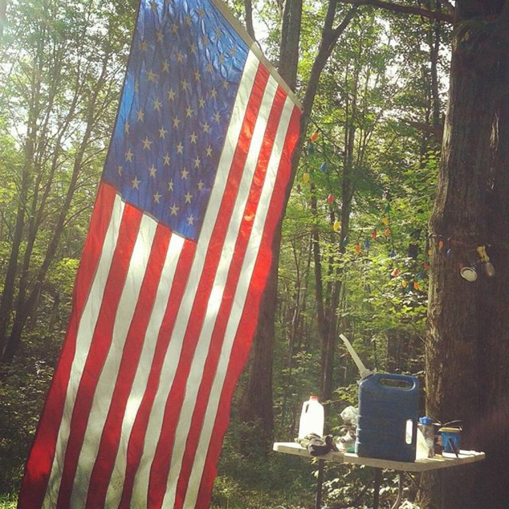 Photo: Nice morning in the woods