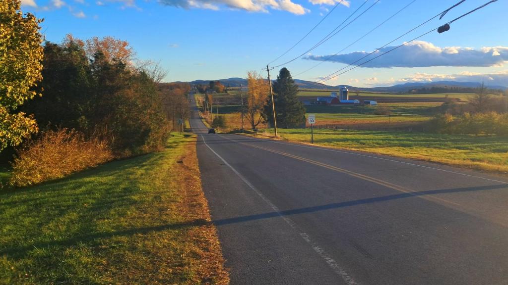 Photo: Jarvis Road