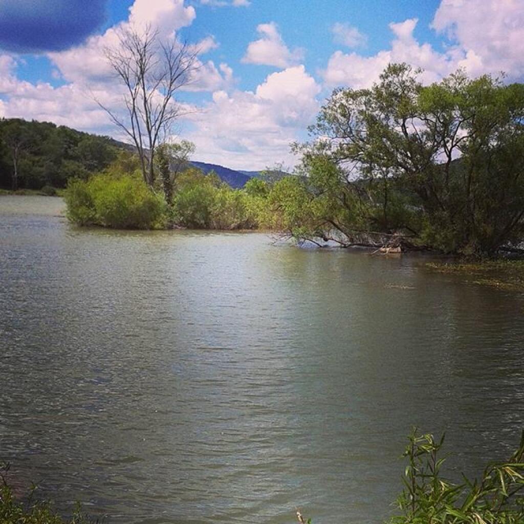 Photo: Water levels were fairly high on the Reservoir Photo: Water levels were fairly high on the Reservoir