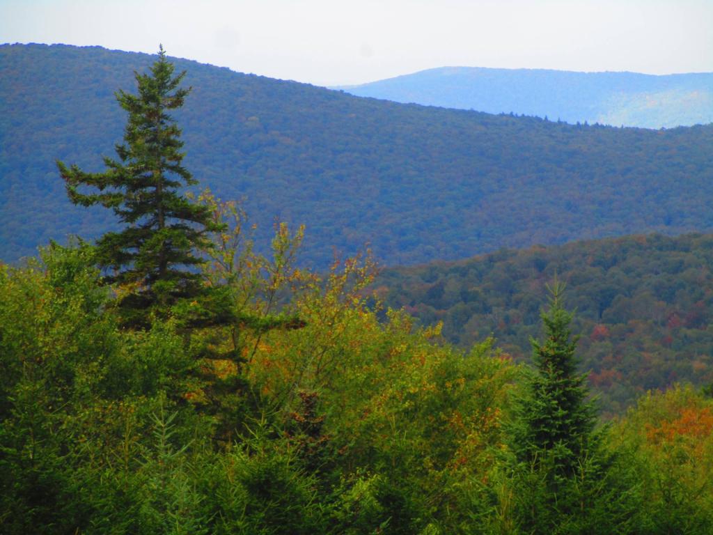 Photo: Bald Mountain