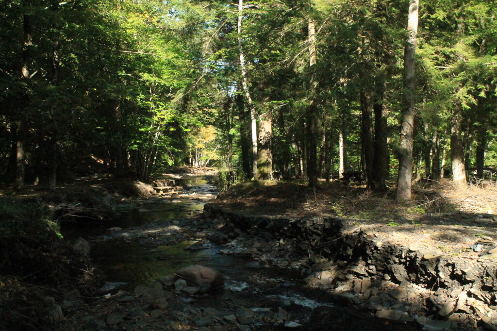Photo: Newly Routed Whetstone Creek