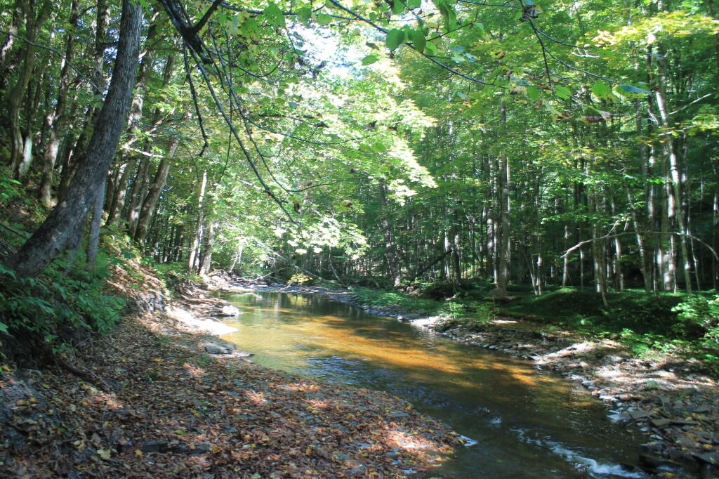Photo: Quiet Along The Whetstone Creek
