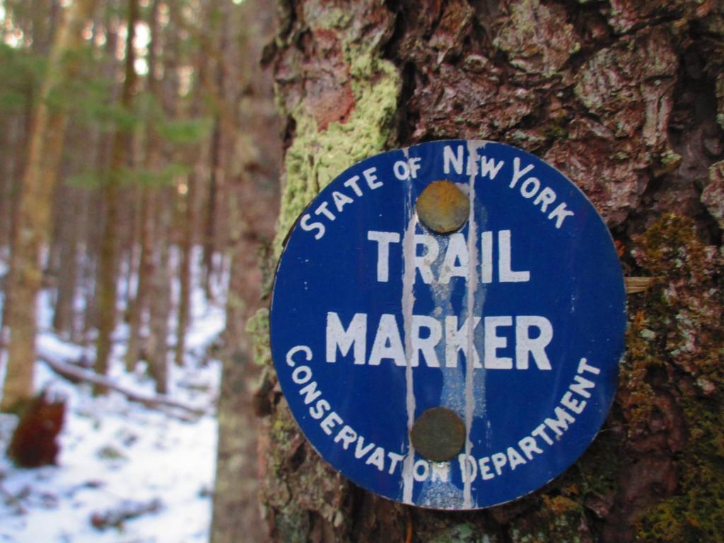 Photo: Old Conservation Department Marker Photo: Old Conservation Department Marker
