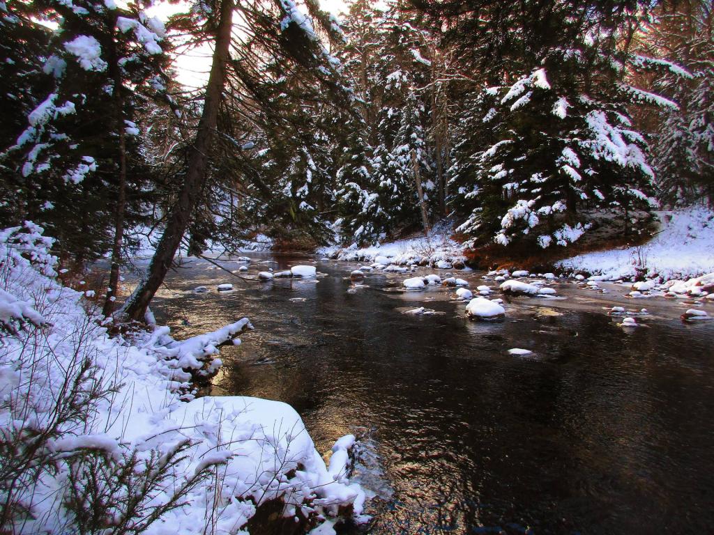 Photo: Sacandaga River Photo: Sacandaga River