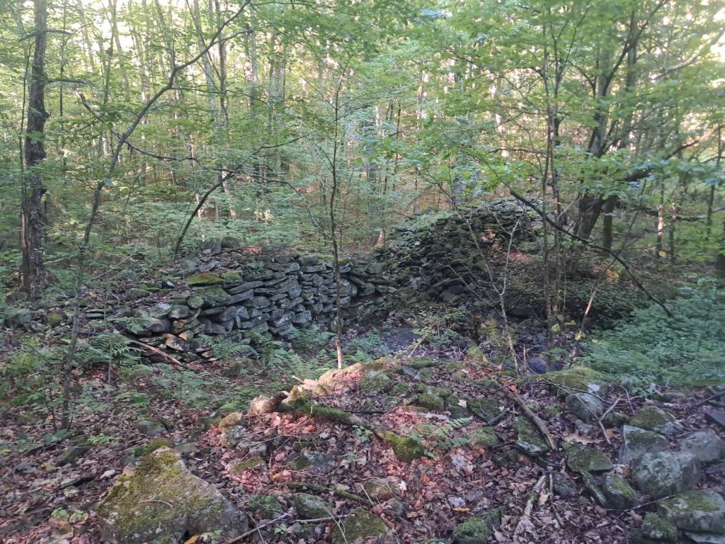 Photo: Old Foundation [Expires September 12 2026]