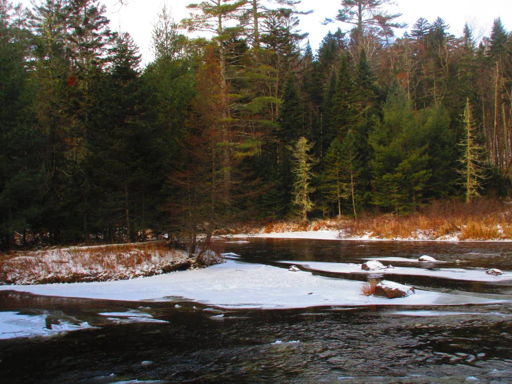 Photo: Island in the Boreas River Photo: Island in the Boreas River