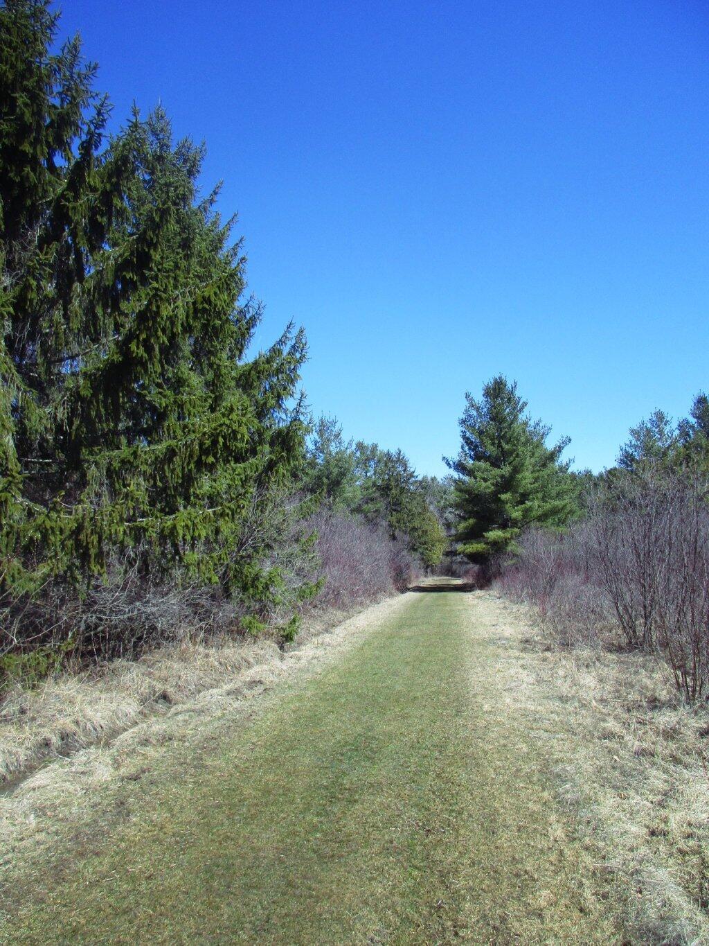 Photo: Blue Skies Photo: Blue Skies