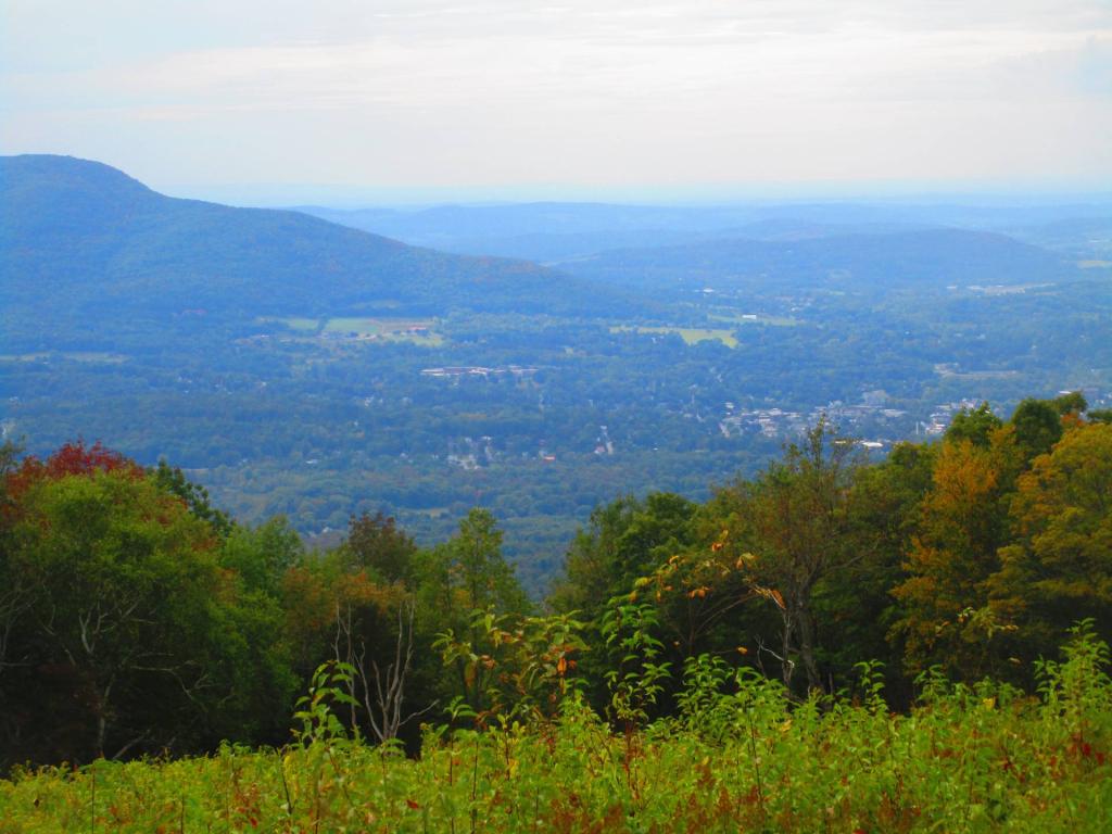 Photo: Bennington Photo: Bennington