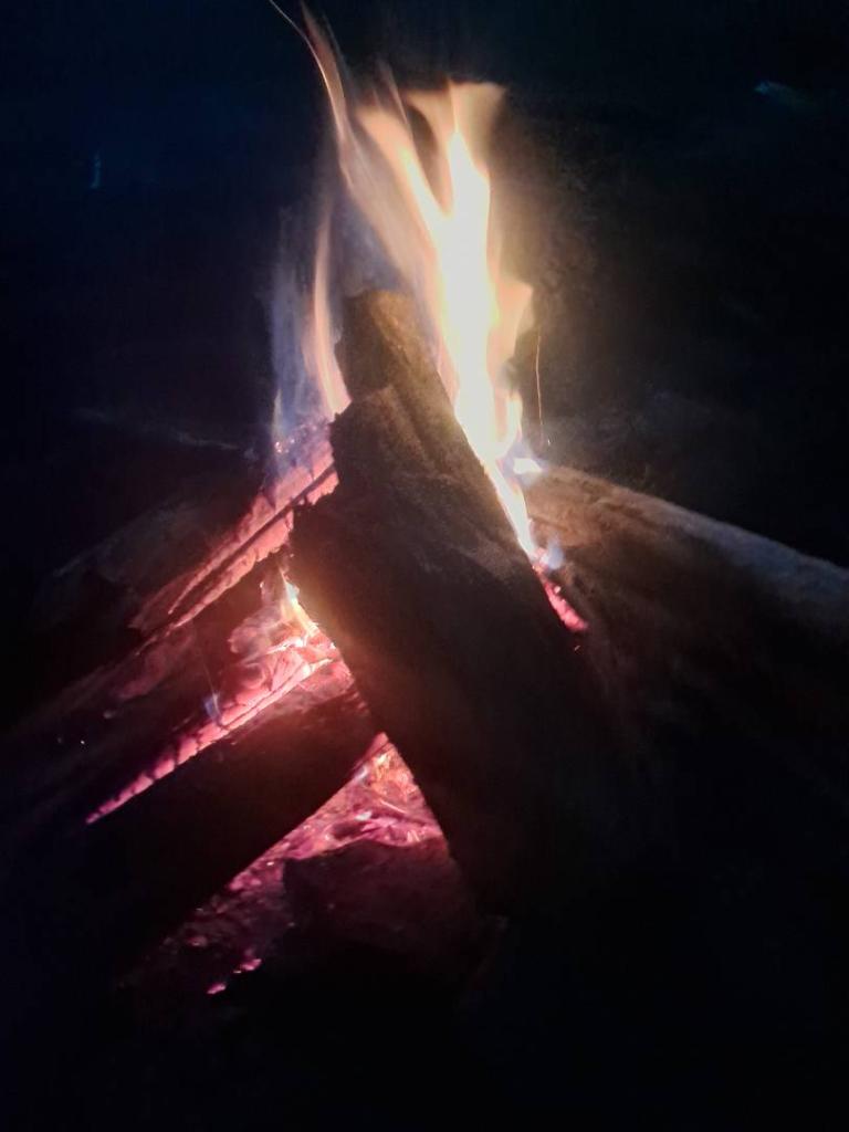 Photo: Untitled [Expires September 13 2026]
