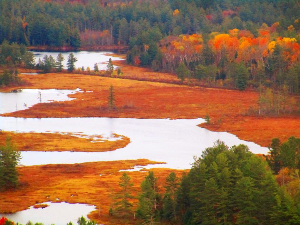 Photo: Hitchens Pond from Lows Ledge Photo: Hitchens Pond from Lows Ledge