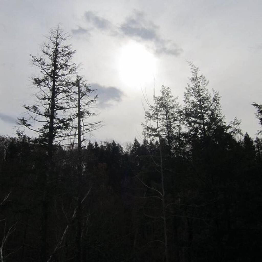 Photo: Winter is coming