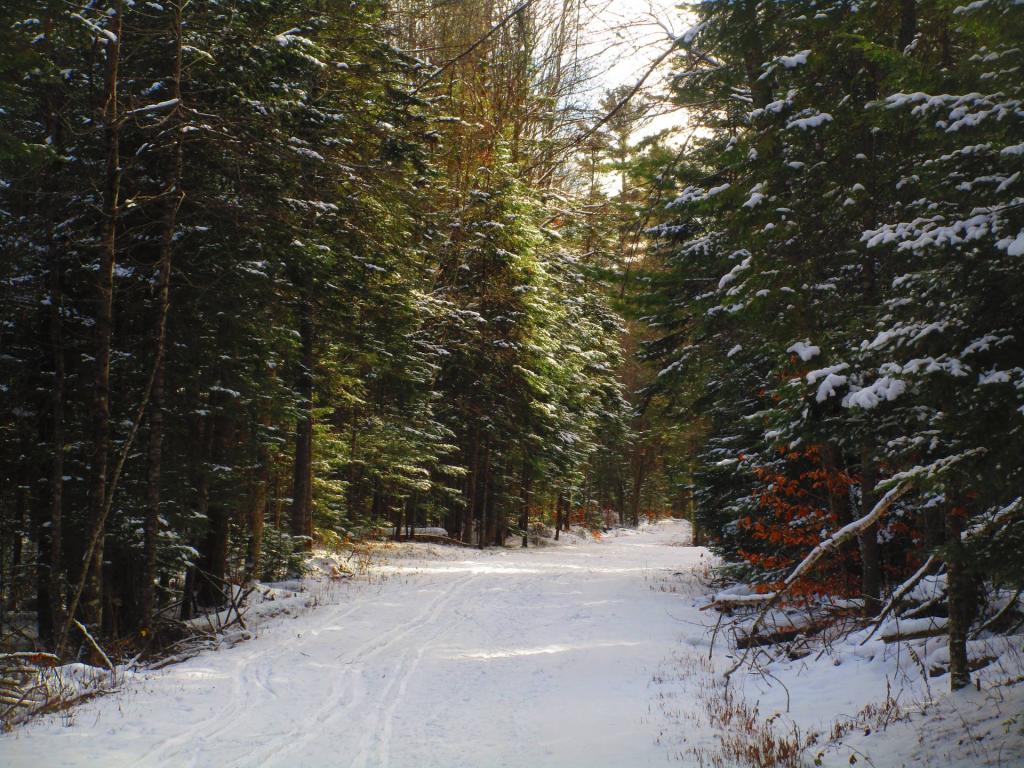 Photo: Newcomb Lake Road