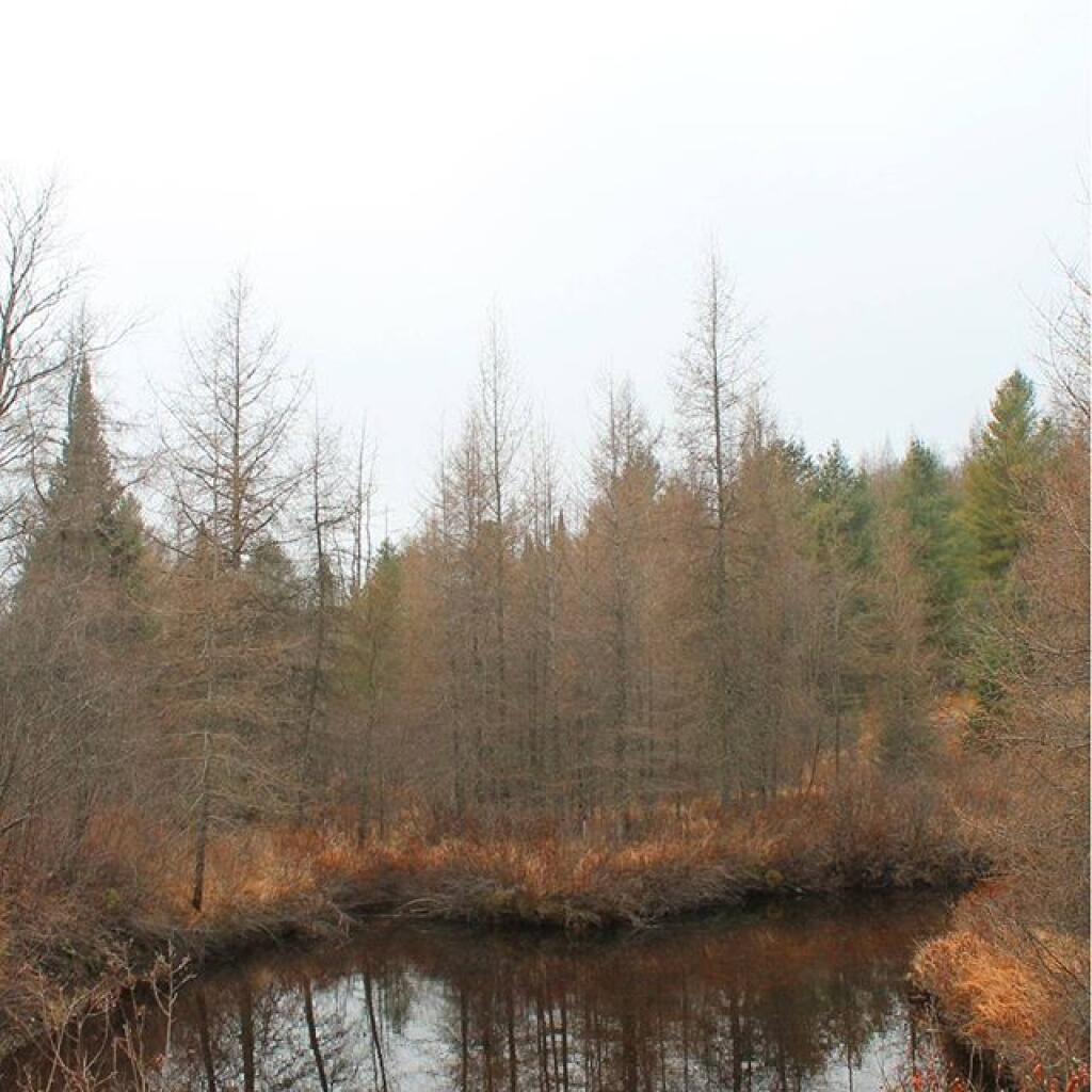Photo: Red River Photo: Red River