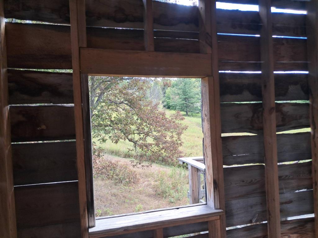 Photo: Inside the Tree House Bird Blind