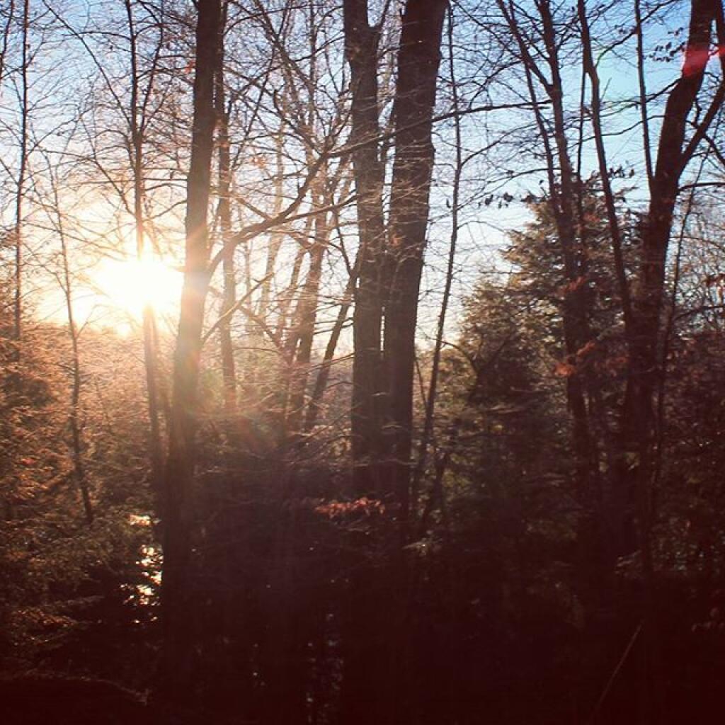 Photo: Frosty morning