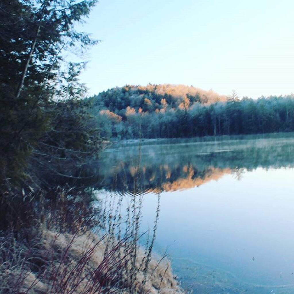 Photo: Frosty