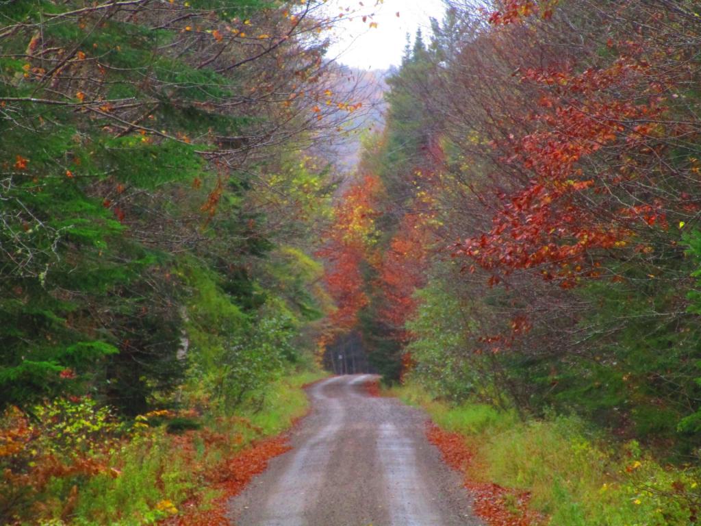 Photo: Horseshoe Road Photo: Horseshoe Road