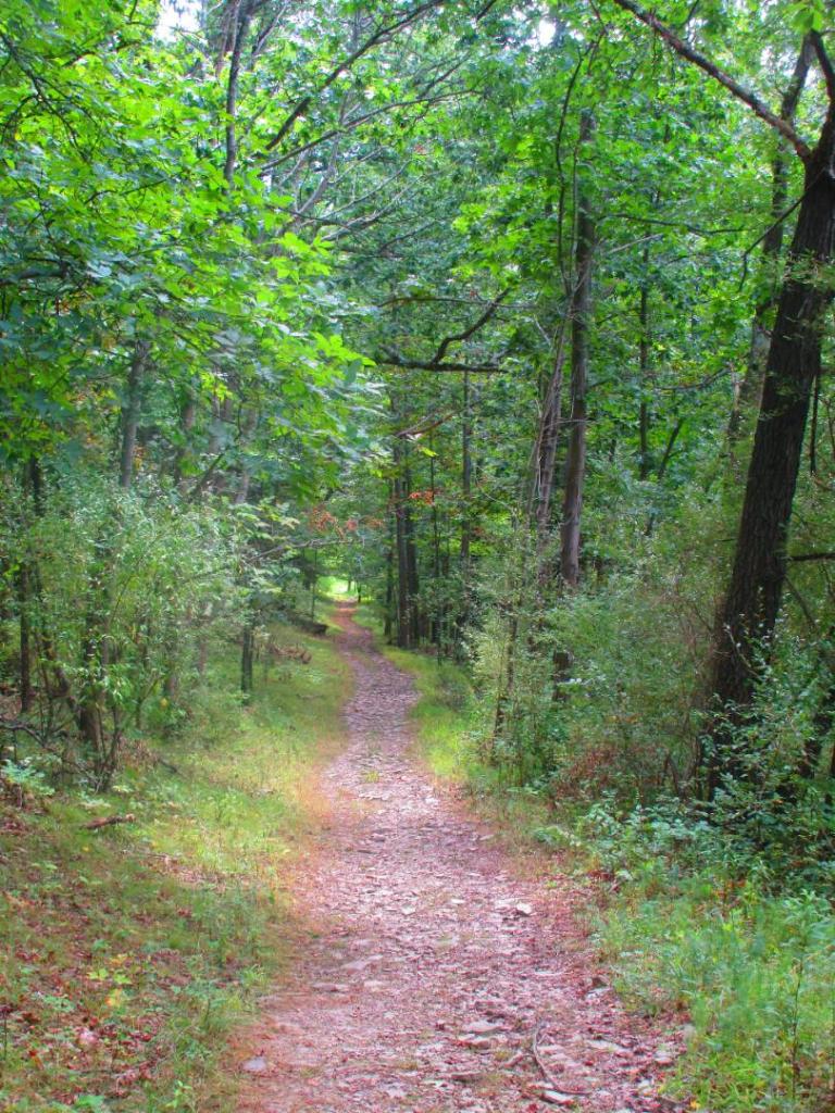 Photo: Twain Trail