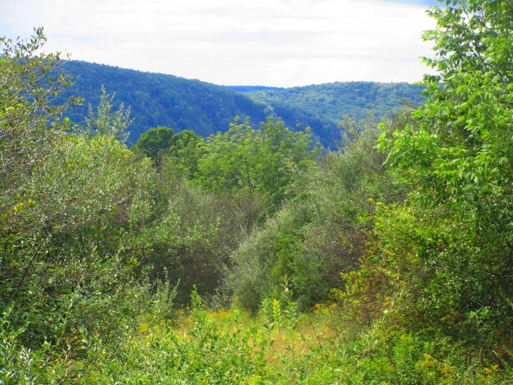 Photo: Hills