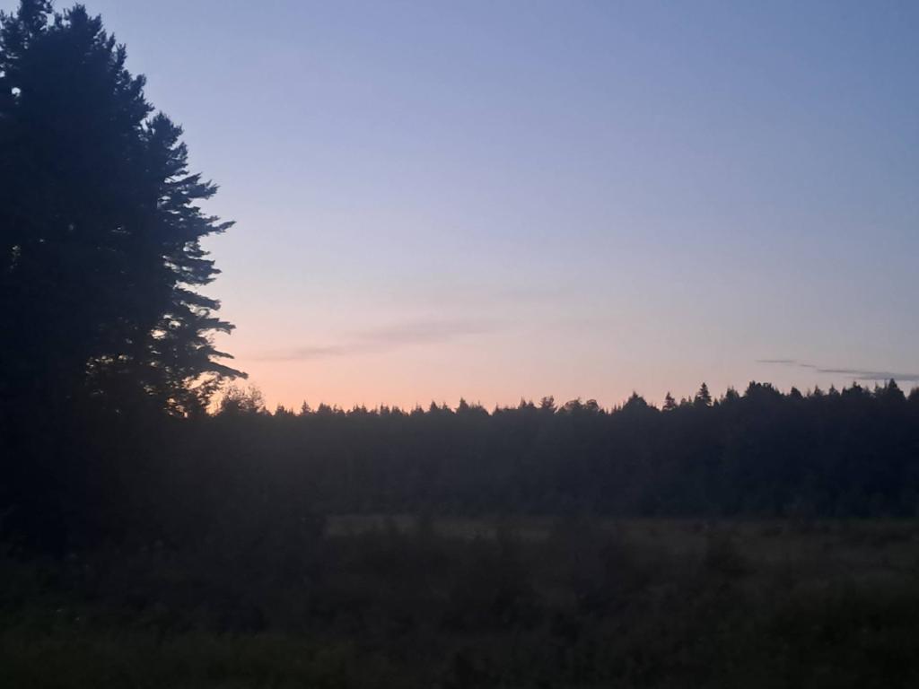 Photo: Evening [Expires September 13 2026]